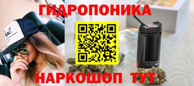 крисы Жуковский